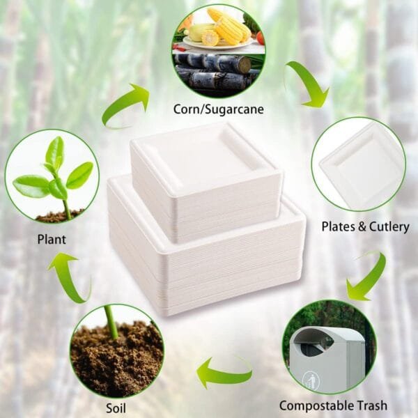 Sugarcane Bagasse 6" x 6" Square Plate – 400/Case | Eco-Friendly Plates for Buffalo Foodservice - Image 5